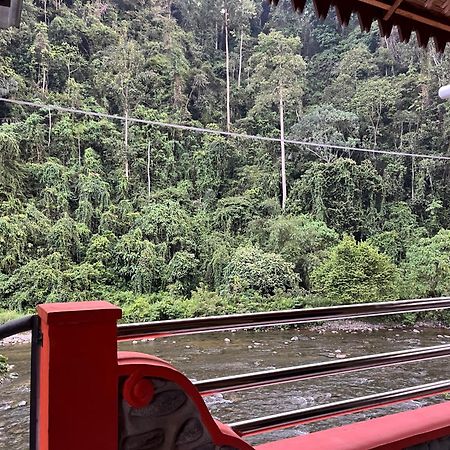 Ridho'S Homestay & Jungle Trekking Bukit Lawang Exteriör bild