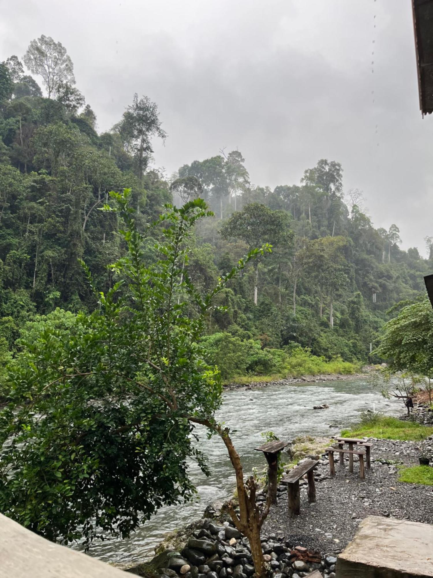 Ridho'S Homestay & Jungle Trekking Bukit Lawang Exteriör bild