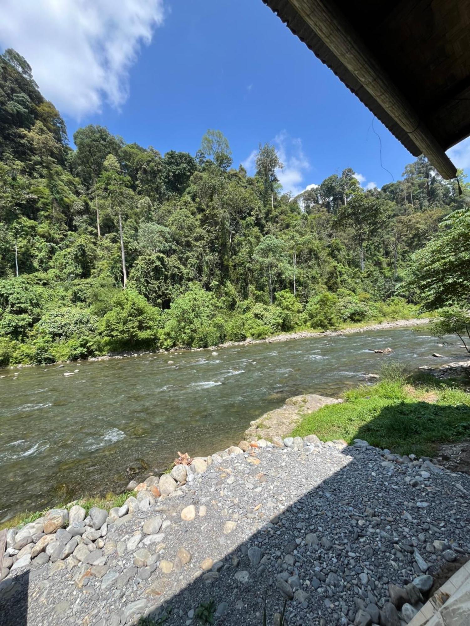Ridho'S Homestay & Jungle Trekking Bukit Lawang Exteriör bild