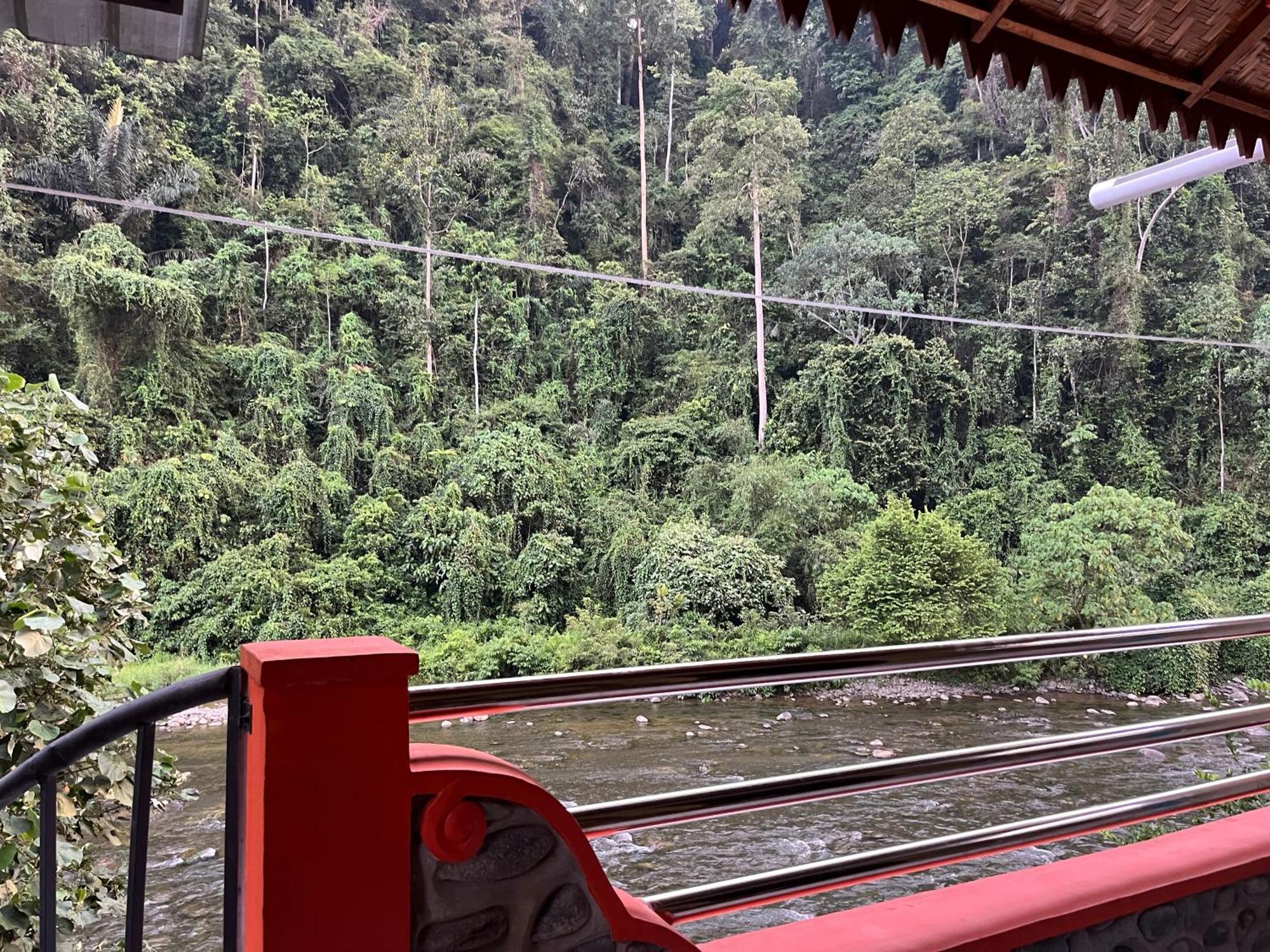 Ridho'S Homestay & Jungle Trekking Bukit Lawang Exteriör bild